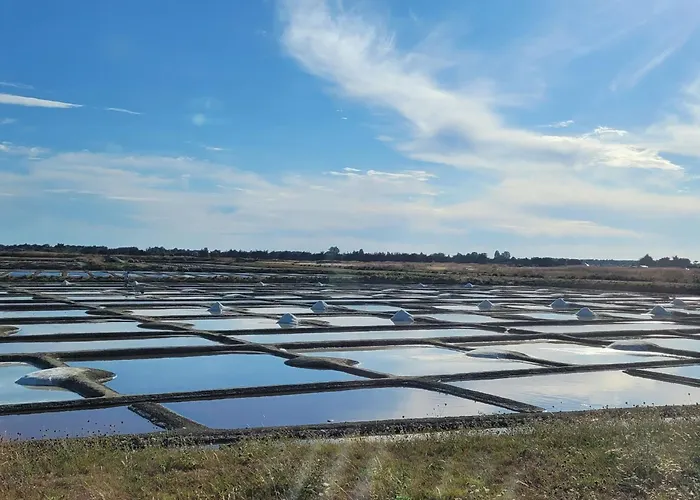 Semesterbostad Maison Pour 7 Avec Jardin, A Proximite Notre-Dame-de-Monts